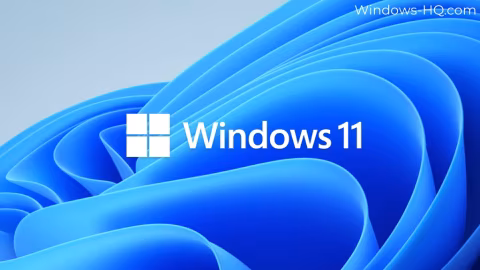 Windows 11 logo and title displayed over an abstract blue flowing background.
