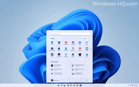 A screenshot of the Windows 11 operating system interface showing the search box and Start menu.