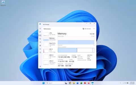 A screenshot of the Task Manager interface showing RAM and performance details on a Windows 11 desktop background.