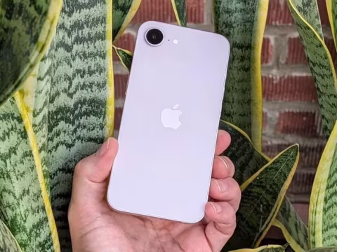 White smartphone with dual camera module held in an open hand, set against a snake plant and brick background.
