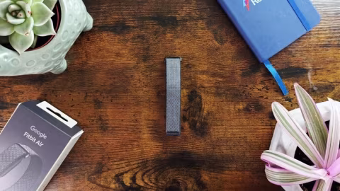 Fitbit Air Challenges the Market with Superior Value and Comfort